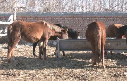 ��һ��Զ��ٲ��ϣ����Ĳ������ܲ��ܰ���_��¿