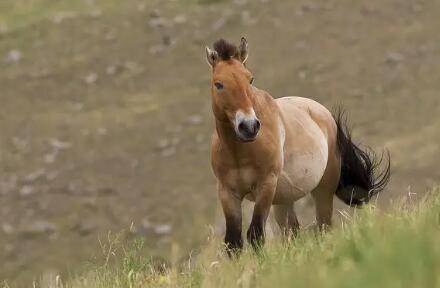 �����������࣬�����������������Ʒ�ֽ���_��¿