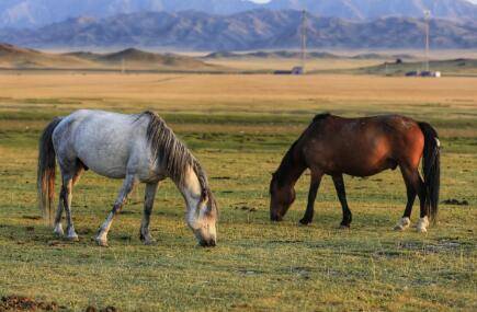 �����������࣬�����������������Ʒ�ֽ���_��¿