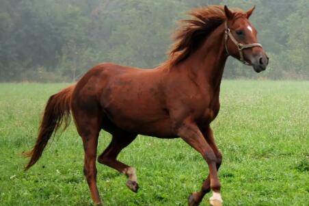 ������������ιҪ��_��¿