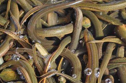 �����ʲô����_����