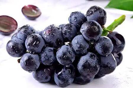 �ڼ������ѵ�Ʒ������_�Ϲ���ֲ