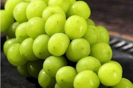 ����õ�����ѵĴ��ʱ��_�Ϲ���ֲ