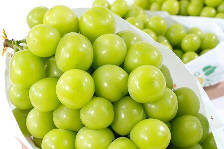 最好吃的葡萄排名,阳光玫瑰葡萄上榜_瓜果种植