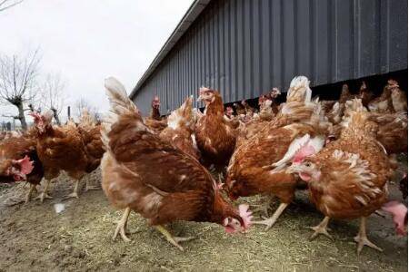 ��Ч�������Ĵ�ƫ��_����