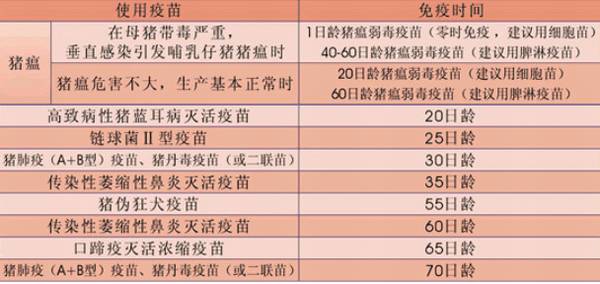 猪场正规免疫程序表参考_养猪