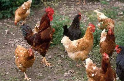 ����ʱ�ķ��߷�������ʯ�����ۻƷ����ĸ���_����