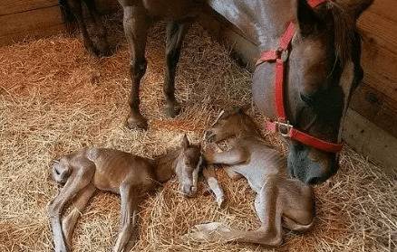 ĸ����С���Ĳ�ǰ���֣���ô���ĸ����˳����_��¿