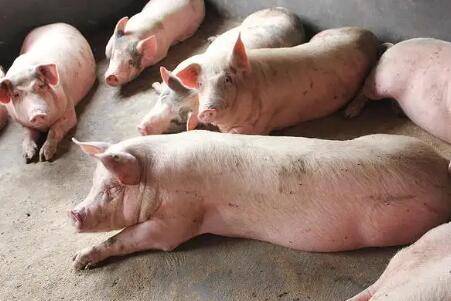 ���������ʵļ��㹫ʽ_����