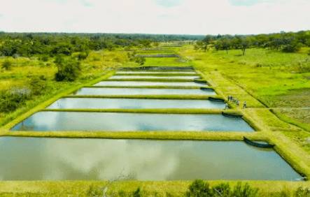 �����ĵ�λ��ʲô_����