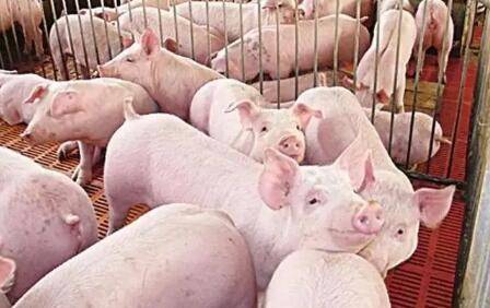 2022�������ܲ����ϱ���_����