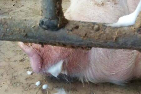 ĸ���ս��°�ĭ��ԭ��_����