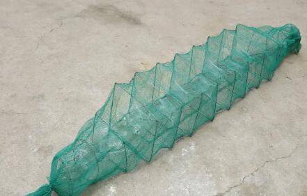 地笼放什么泥鳅多_养殖问答