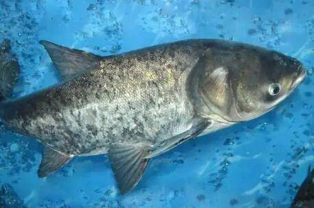 ������ô��������ʲôʱ��õ�_����