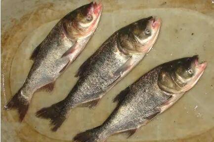 ����һ���ܳ�����_����