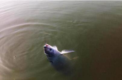 ������ô��������ʲôʱ��õ�_����