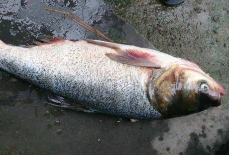 �����ʲô���ϣ��������Ȼ��������Щ_����