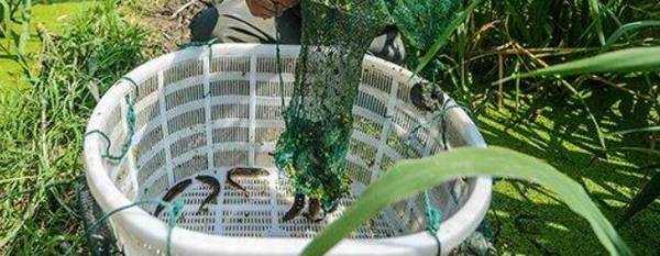 ������ʱ����Ͷι��ע������_��ֳ�ʴ�