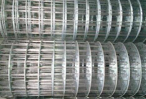 养鸡网标准高度是多少_养鸡