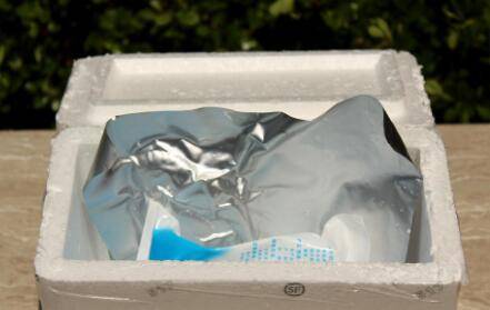 提高小龙虾苗种存活率之苗种运输方式_养虾