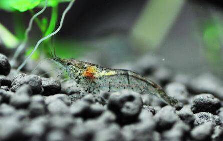 �ڿ�Ϻ��ô��������_��Ϻ