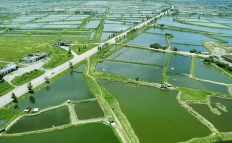 养殖小龙虾及时换水的重要性_养虾