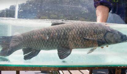 ������û������_����