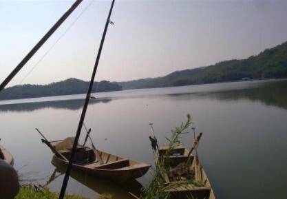 青鱼拿什么钓比较好_养鱼