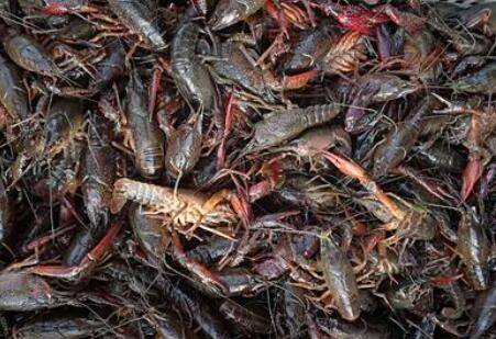 ��Ϻ�����ʸ���ô��_��Ϻ