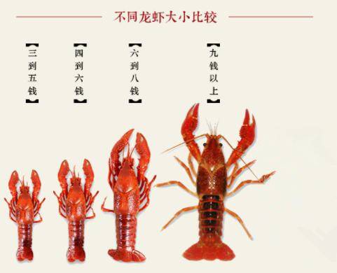 С��Ϻ��С����ͺ�����Щ_��Ϻ