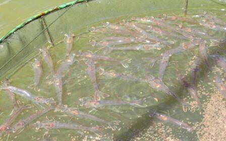 ��ϺˮӲ��Ҫ�����_��Ϻ