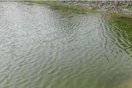 ��ϺˮӲ��Ҫ�����_��Ϻ