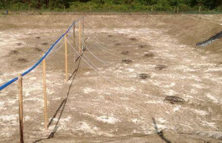 虾池改底后几天解毒_养虾