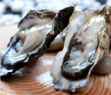 牡蛎怎么保存时间长_养殖问答