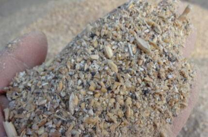 如何保证鸭子饲料的质量_养鸭