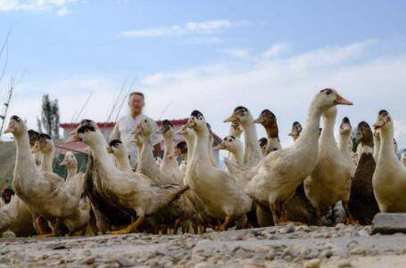 ��Ѽ����ο��ٳ���_��Ѽ