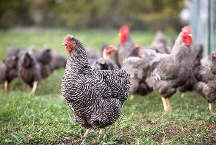 «�������г��۸�_����