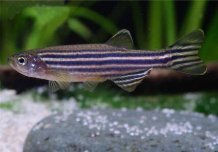 �����������Ƕ೤_��ֳ�ʴ�