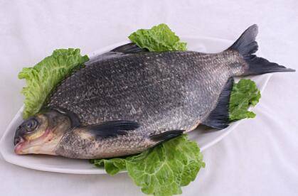 鳊鱼刺多吗_养殖问答