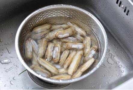 蛏子的清洗方法_养殖问答