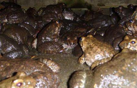 ����ʲôʱ�䶬�ߣ�_����