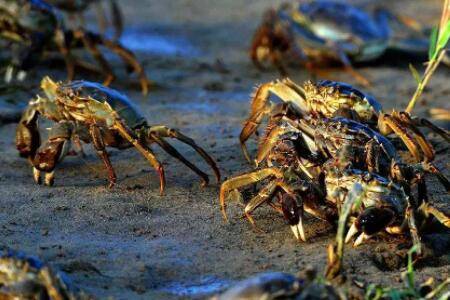 �з�Ĳ�������Щ_��з