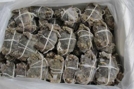 �з�����䶳��_��з