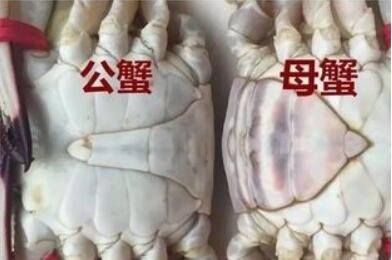 �з��ĸ��ô�ֱ�_��з