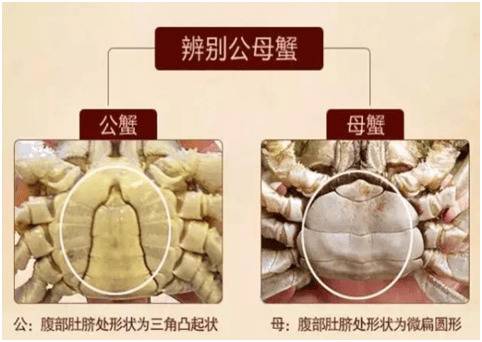 �з��ĸ��ô�ֱ�_��з