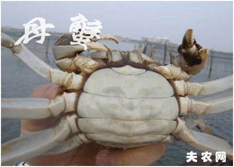 �з��ĸ��ô�ֱ�_��з