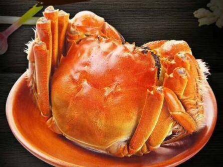 微山湖螃蟹几月份盛产_养蟹