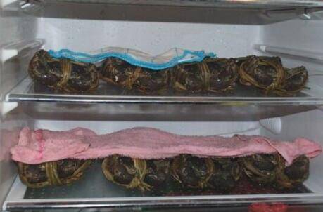 螃蟹可以存放多久_养蟹