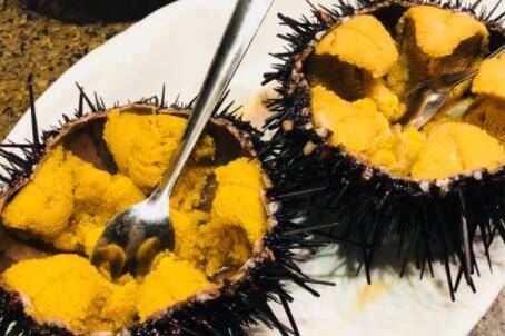 海胆能不能生吃_养鱼