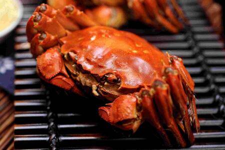 大闸蟹死了几个小时还能吃吗?_养蟹